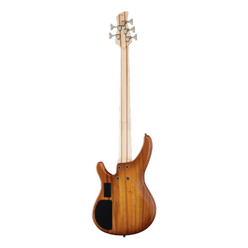 Amazon.com: Yamaha TRBX505 Brick Burst 5-string bass : Musical